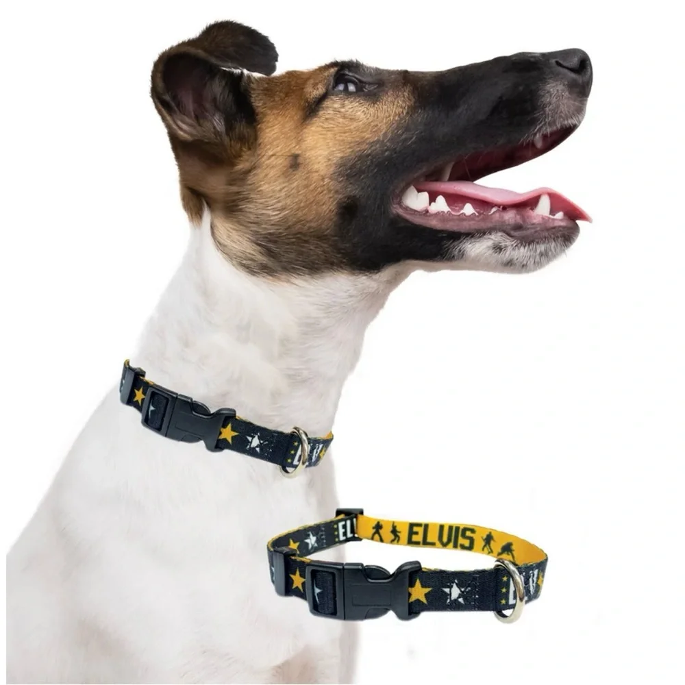 Elvis Presley Dog Collar Black and Gold Size Medium